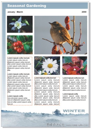 ��CorelDRAW X4���񹤾��p�Ʉ���Ư������