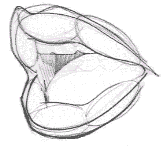 Flash�̳̣���ͨ�������������ͺ��L�Ʒ���