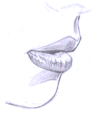 Flash�̳̣���ͨ�������������ͺ��L�Ʒ���