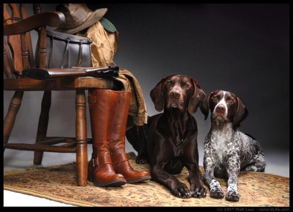 ���⾫�ʄ����OӋ���p