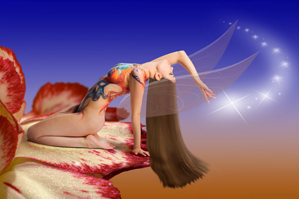 ���⾫�ʄ�(chu��ng)���O(sh��)Ӌ(j��)���p