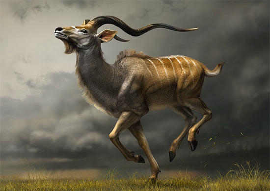 75��Ư���������ɫ�OӋ���p