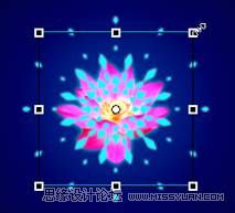 Flash CS4����Ư�����ǹ�����Ч��