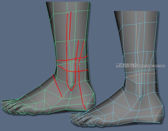Maya建模教程:逼真腳部建模教程