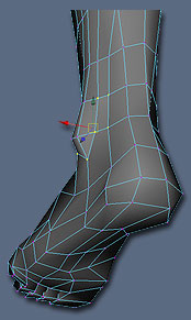 Maya建模教程:逼真腳部建模教程