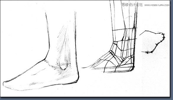 Maya建模教程:逼真腳部建模教程