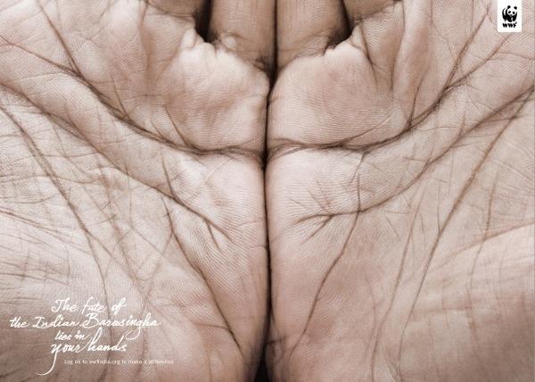 �����OӋ�������􆾸�������Pע����