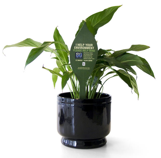 創意設計的力量呼喚更多的人關注地球