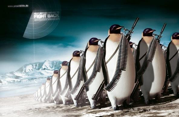 創意設計的力量呼喚更多的人關注地球