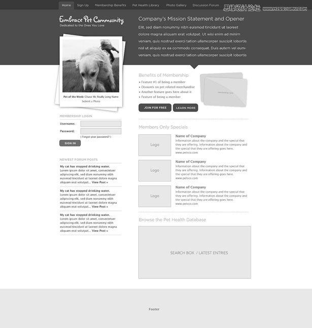 �Wվ���ݲ��ֵĻ���ҕ�X���F��ʽ