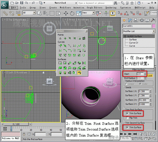 3D MAX使用NURBS方法給貪吃蟲建模
