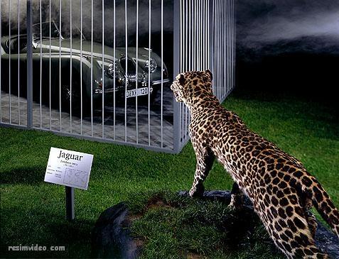 70��������صĄ���V�����p