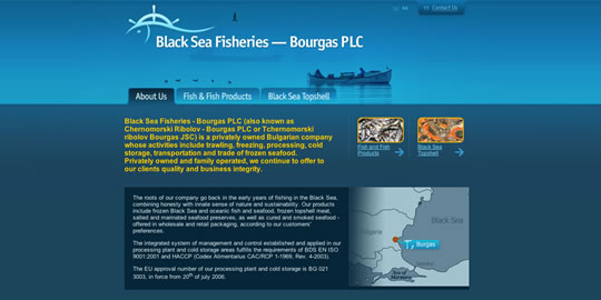 50��(g��)Ư�����{(l��n)ɫ�W(w��ng)վ�O(sh��)Ӌ(j��)���p