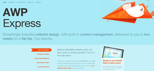 50��Ư�����{(l��n)ɫ�W(w��ng)վ�O(sh��)Ӌ���p