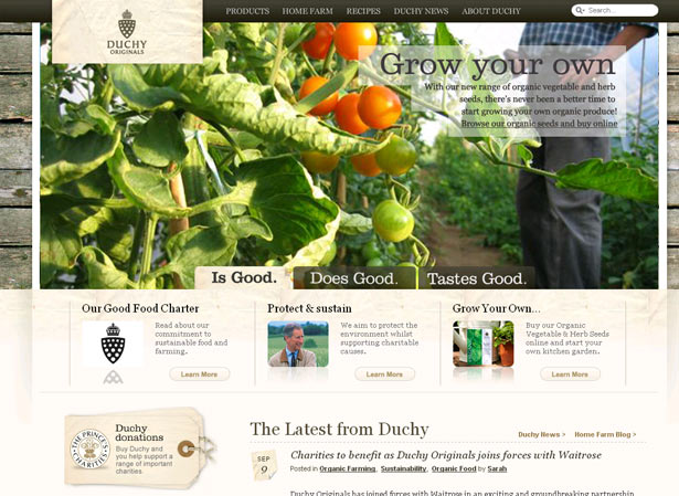 2010年網(wǎng)頁設(shè)計(jì)的流行與趨勢(shì)