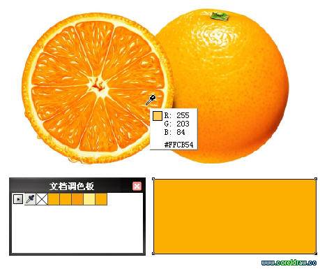 CorelDRAW X5新功能總結介紹