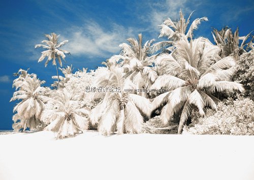 Photoshop�{ɫ�̳̣��⾰Ƭ�¼t�⾀Ч��