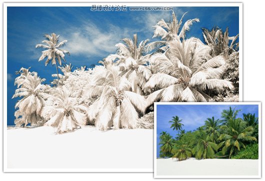 Photoshop調色教程:外景片仿紅外線效果