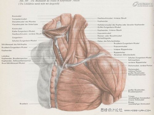 ZBrush教程:夸張寫實人頭《爆牙》雕刻