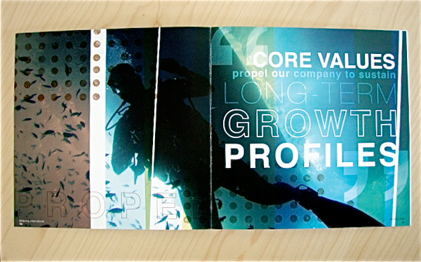 �����ć�����󮋃��OӋ���\