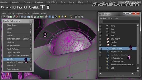 Maya�����A��BJD����