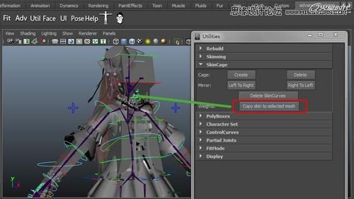 Maya�����A��BJD����