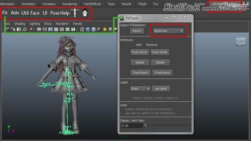 Maya�����A��BJD����