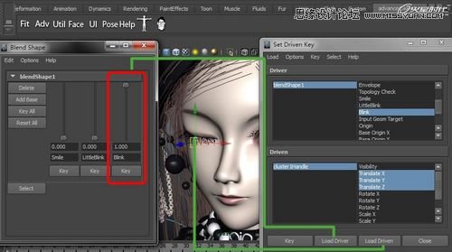 Maya�����A��BJD����