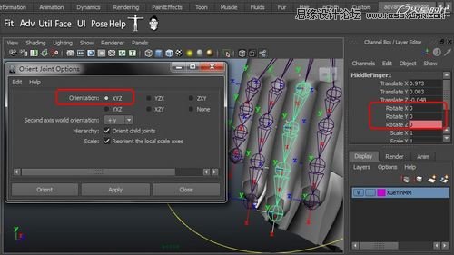 Maya�����A��BJD����