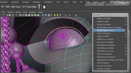 Maya�����A��BJD����