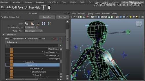 Maya�����A��BJD����