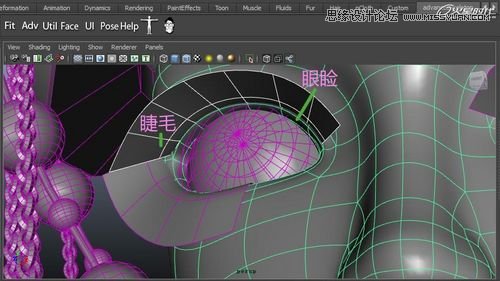 Maya�����A��BJD����
