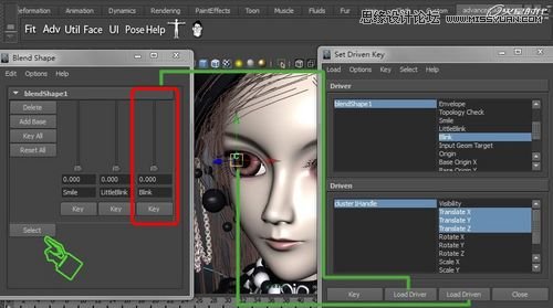 Maya�����A��BJD����