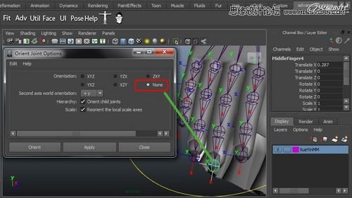 Maya�����A��BJD����