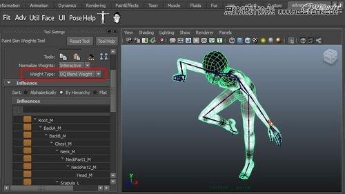 Maya�����A��BJD����