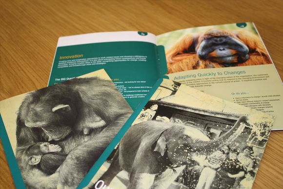 35��Ư���Į����OӋ���p