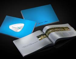 ��߄���Į����OӋ��Ʒ��