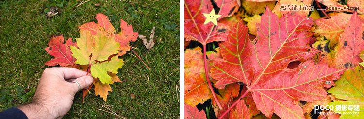 10���zӰ�ۺ��ߑ�ԓ����ĳ�Ҋ�e�`