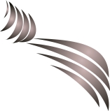 CorelDRAWģ�M������Ƭ�L��ȫ�^�̷���