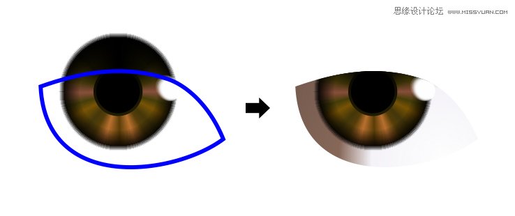 CorelDRAWģ�M������Ƭ�L��ȫ�^�̷���