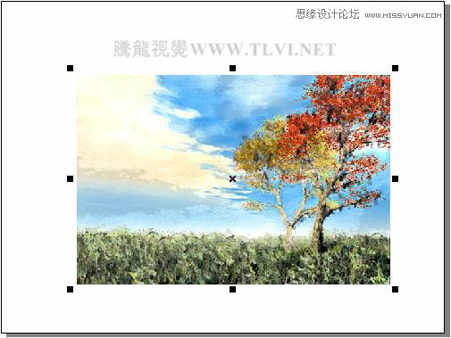 CorelDRAW實例教程:繪制現代裝飾油畫效果