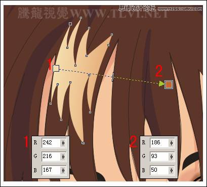 CorelDRAW�L�ƕr(sh��)���L(f��ng)�������Ů����