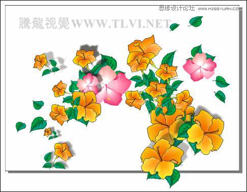 CorelDRAW�L�ƕr���L(f��ng)�������Ů����