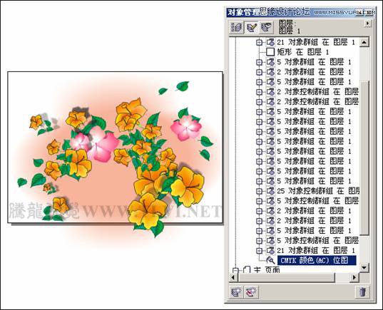 CorelDRAW�L�ƕr���L(f��ng)�������Ů����