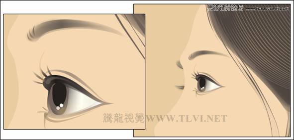 CorelDRAW繪制人物工筆畫美女人物教程