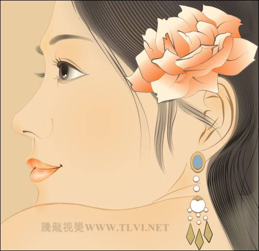 CorelDRAW�L�����﹤�P����Ů����̳�