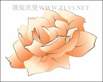 CorelDRAW�L�����﹤�P����Ů����̳�