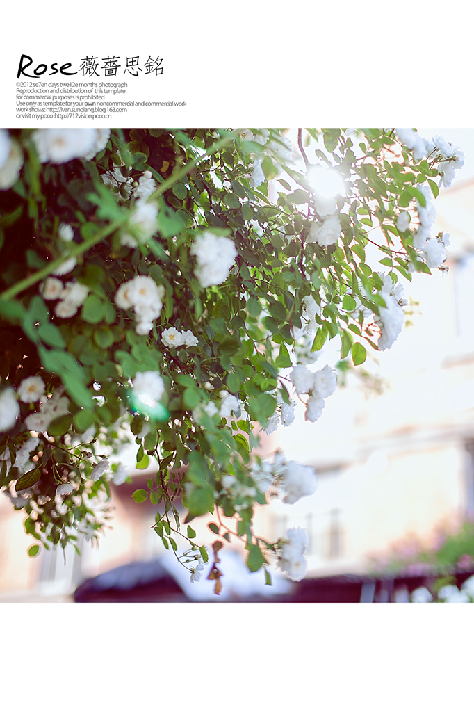 ޱ�N˼��⾰��Ů�zӰ��Ʒ���p