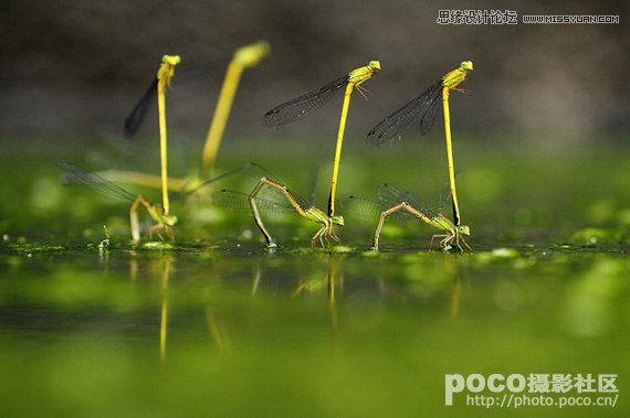 Ԕ���������B(t��i)�zӰ��ԓ�ʂ������