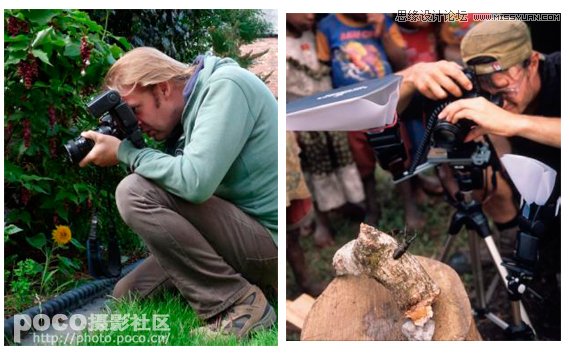 Ԕ���������B(t��i)�zӰ��ԓ�ʂ������